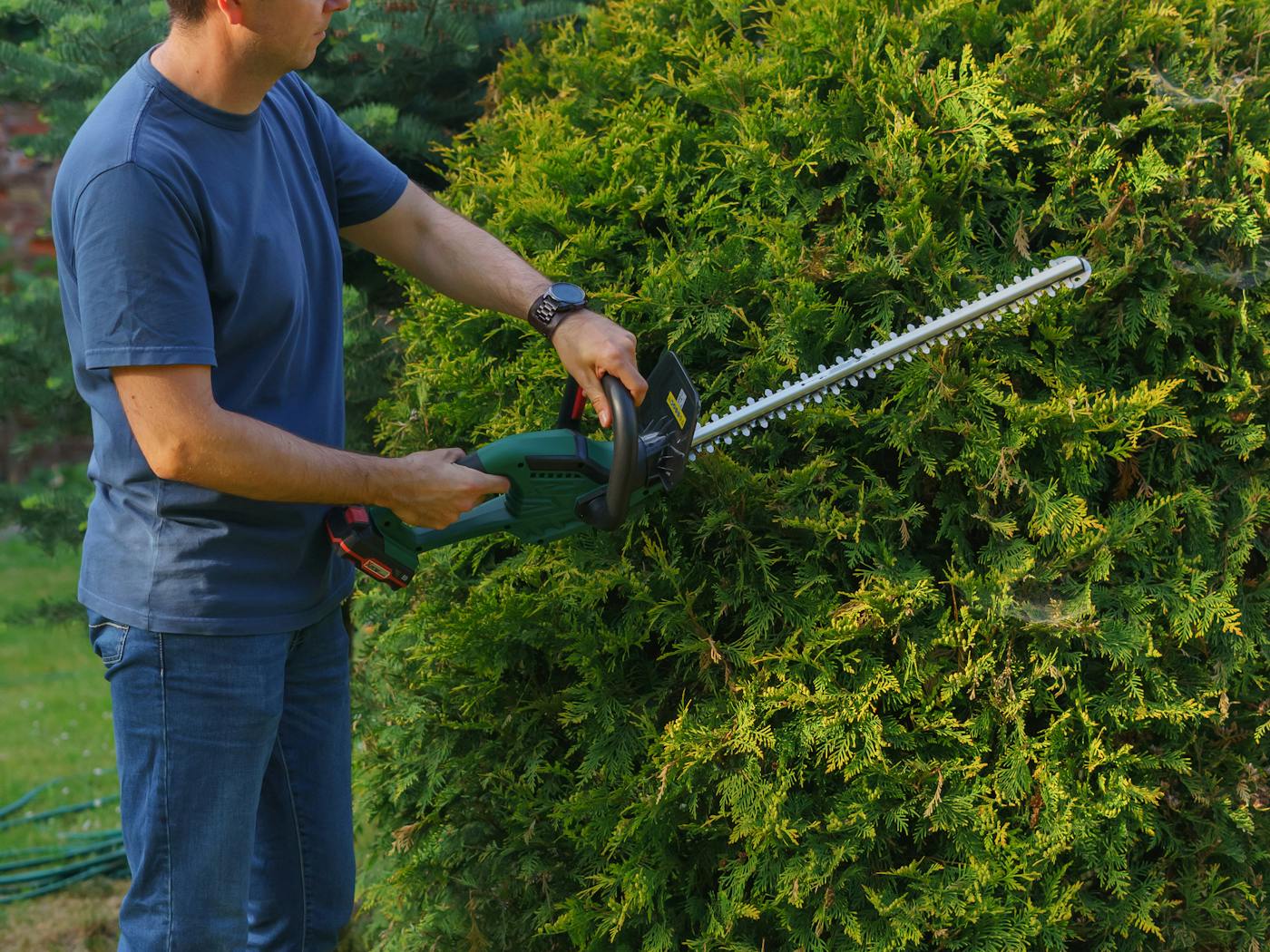 Hedge trimmer shaping a sage shrub at the property line of a Phoenix home.